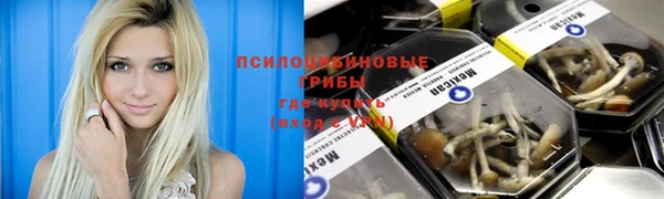 spice Верея