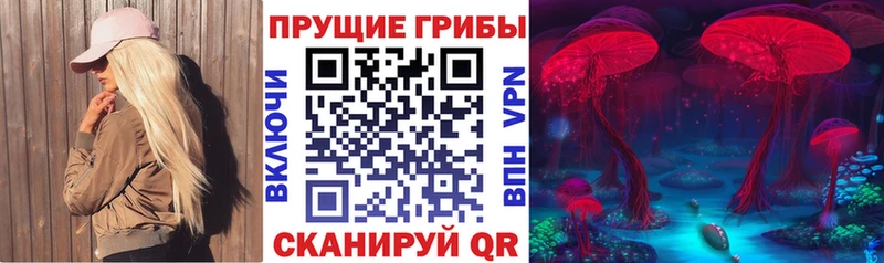 Псилоцибиновые грибы Psilocybe  как найти закладки  Полярный 